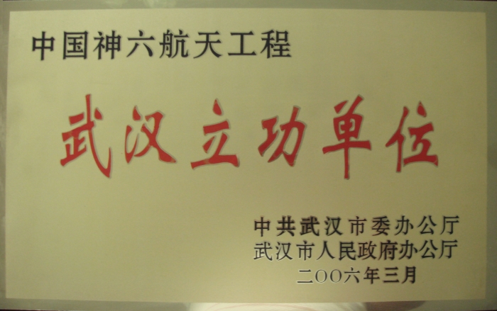 武漢市委、市人民政府表彰